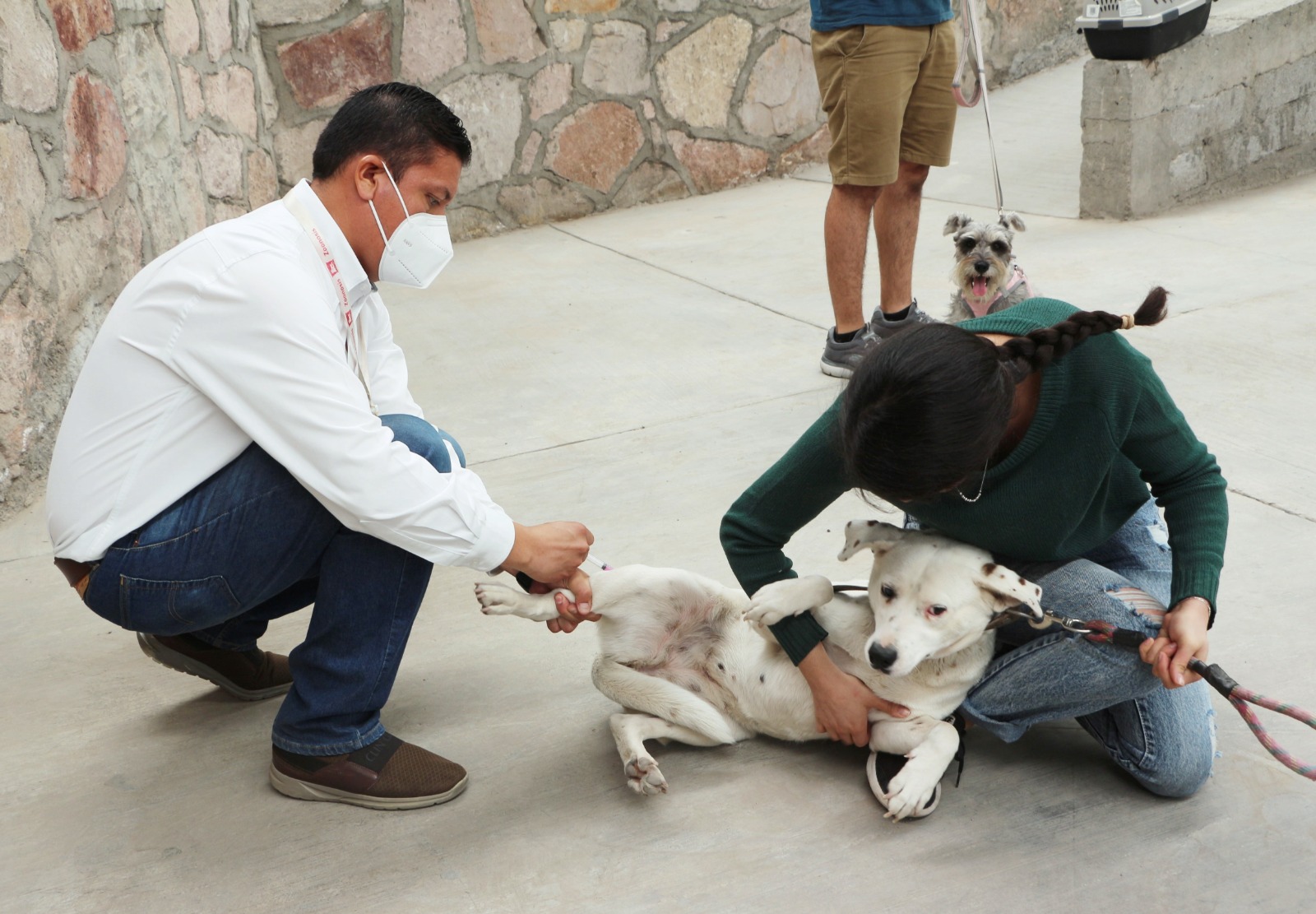 Title: “Zacatecas: A Rabies-Free Entity | Importance of Vaccination and Disease Prevention”